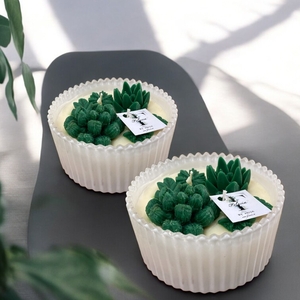 Succulent jar candle