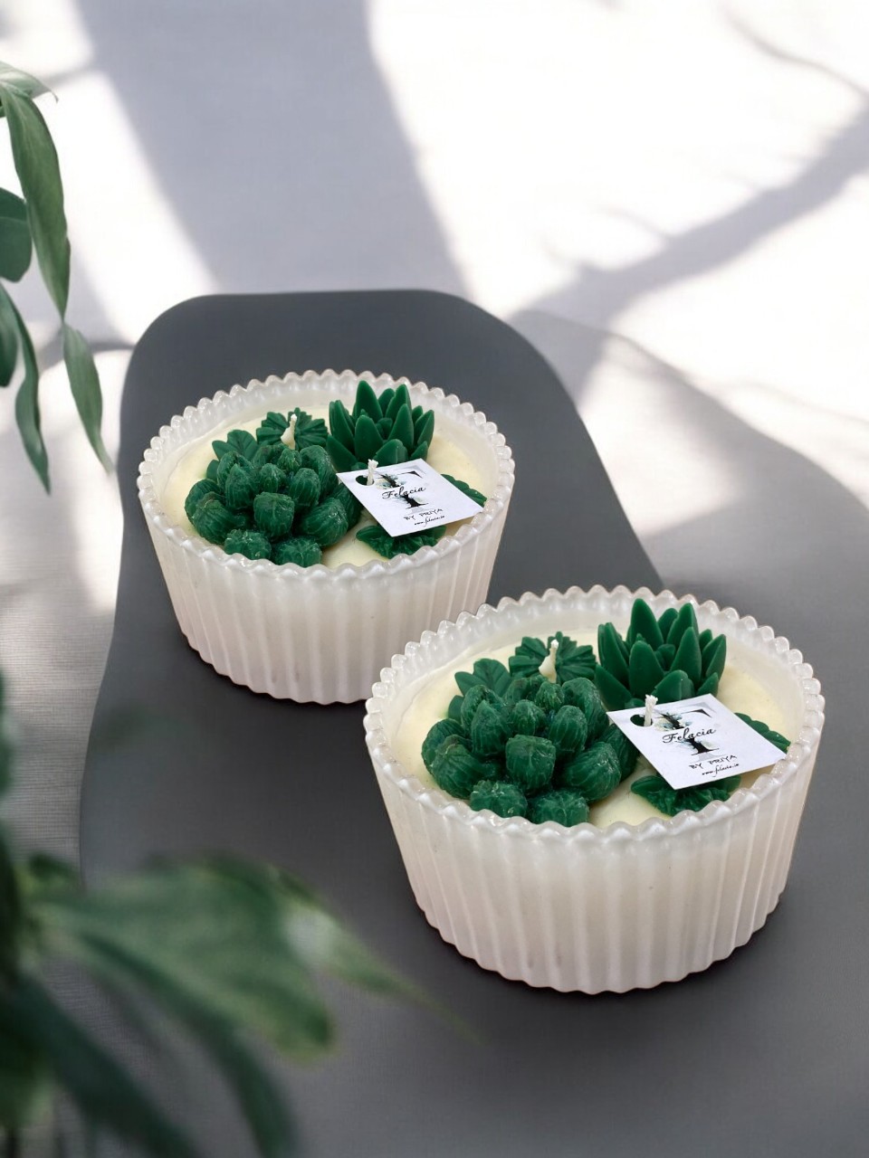 Succulent Jar Candle 3 Succulent jar candle