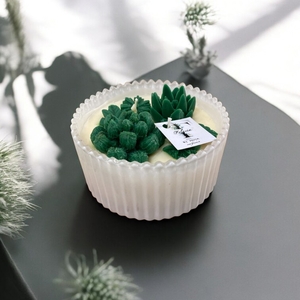Succulent jar candle