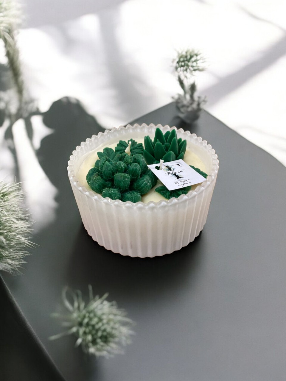 Succulent Jar Candle 2 Succulent jar candle