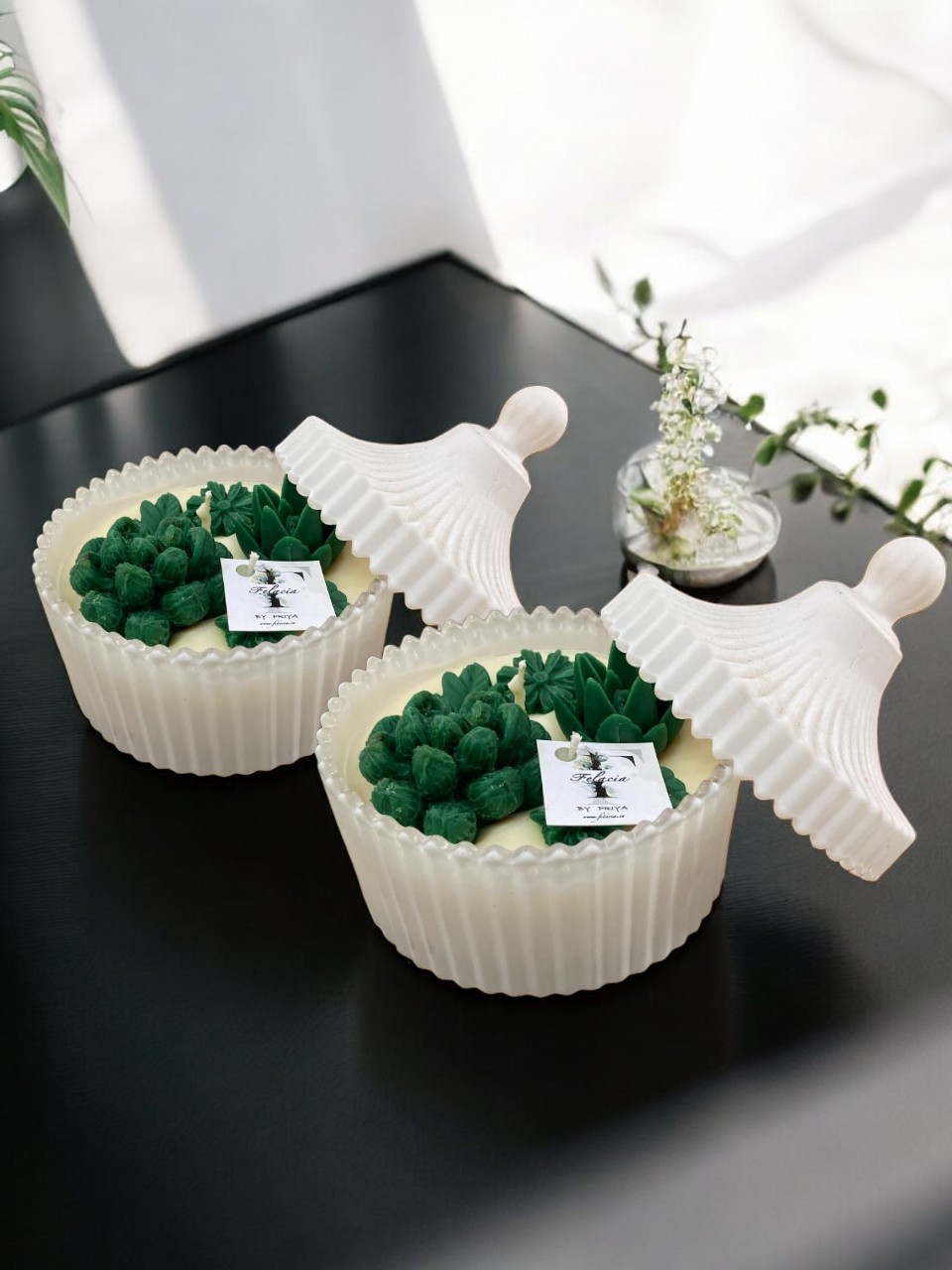 Succulent Jar Candle 1 Succulent jar candle